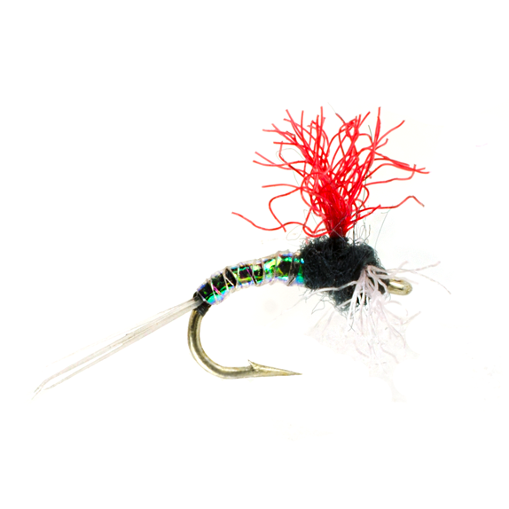 Pearl Tail Spinner Trico 