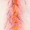 Sea Run Shrimp Pink 5D Brush, Straight.  An essential piece to a tempting lure imitating a shrimp pattern.  